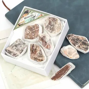 Vue détaillée de spécimens de minéraux de pierre de lune grise brute dans une boîte cadeau