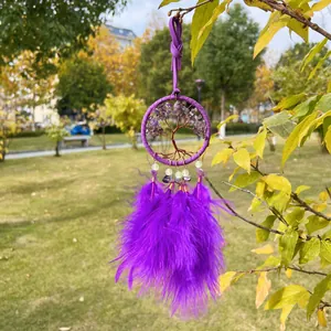Detailansicht eines violetten Lebensbaum-Traumfängers mit Federn, der in einem Park hängt.