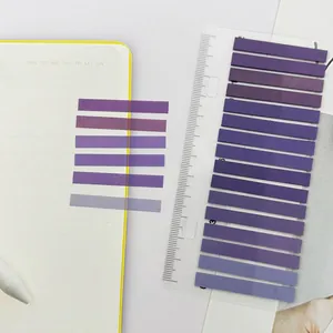 Detail view of purple gradient PET transparent index tabs on a clear ruler scale.