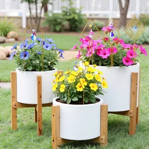 Picchetti decorativi da giardino con cristallo per piante in vaso all'aperto