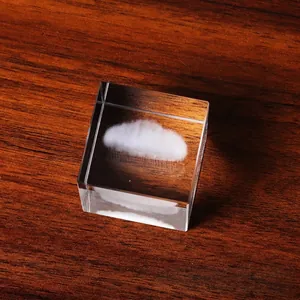 Vista detallada de una nube grabada con láser 3D dentro de un cubo de cristal transparente