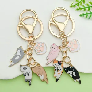 Detailopname van katten-sleutelhangers van emaille met pootjes en kleurrijke kattenhangers