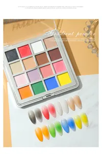 Detail showing 16-color solid nail powder palette with gradient nail tip swatches