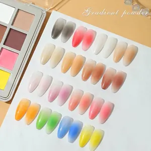 16-color solid nail powder palette with gradient aurora effect for professional manicures.