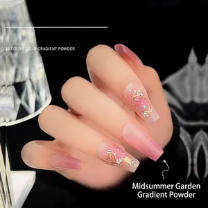 Professional 16 colors solid gradient nail powder with aurora mirror effect for manicure art