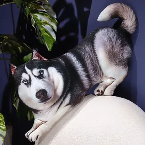 Realistic 3D Print Husky Plush Toy Dog Long Pillow Soft Stuffed Animal Doll For Kids Boys Girls Birthday Gift Home Decor