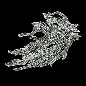 Close-up detail of white transparent lace butterfly embroidery patch on black background