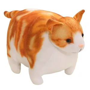 Adorable chubby orange and white tabby cat plush toy soft stuffed animal hug pillow