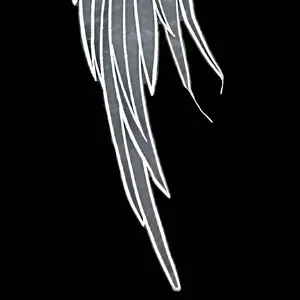 Close-up of white lace wing organza embroidery patch for DIY fashion accessories