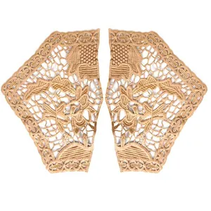 Vue détaillée des appliques en dentelle de soie de lait brodées avec motifs floraux ajourés