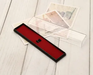 Dettaglio dell'astuccio per penne trasparente rettangolare con interno in velluto rosso
