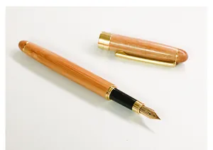 Detailed view of elegant wooden fountain pen with gold-plated nib on white background