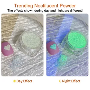 Poudre de paillettes lumineuses ultra-fines pour ongles, effets jour et nuit