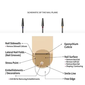 Schéma professionnel de l'anatomie de l'ongle et zones d'application des fraises.