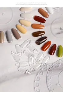 High-definition detail of removable clear acrylic nail swatch display plates and tips