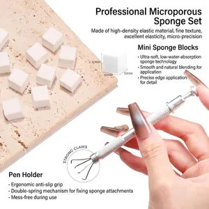 Professionele nail art spons set met roestvrijstalen 4-klauw grijper voor gradiënt