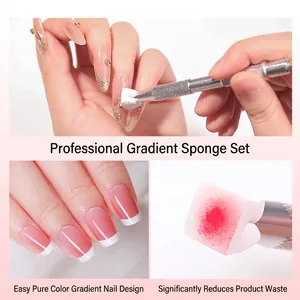 Professionele roestvrijstalen nail art sponsgrijper voor ombre gradiënt designs