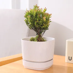 Minimalistischer großer weißer Kunststoff-Blumentopf mit passendem Untersetzer für Pflanzen
