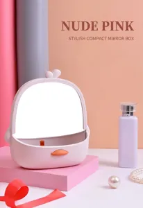Kawaii Desktop-Schminkspiegel in Soft Nude Pink mit integrierter Aufbewahrungsbox und Akzenten