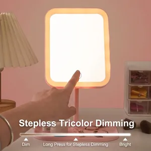Desktop LED-Make-up-Spiegel mit rosa Rahmen und dreifarbigem, dimmbarem Licht
