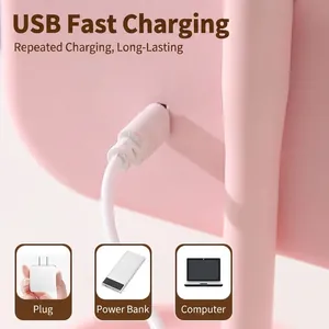 Rosa LED-Make-up-Spiegel mit USB-Ladeanschluss und verschiedenen Stromquellen-Optionen