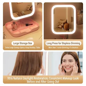 Rosa LED-Tisch-Make-up-Spiegel mit Aufbewahrungsbox und stufenlos dimmbarem Licht