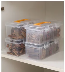 Clear plastic spice storage organizer box with compartments and handle in cabinet