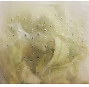Vue rapprochée détaillée d'un sac de drainage pour évier avec des trous de filtration.