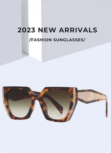 Detail view of luxury oversized tortoiseshell cat-eye sunglasses with gradient lenses
