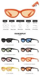Spécifications complètes et 8 options de couleurs pour lunettes de soleil œil-de-chat.