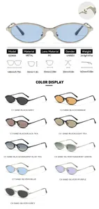 Vintage cat-eye triangle sunglasses with narrow metal frame details and color options