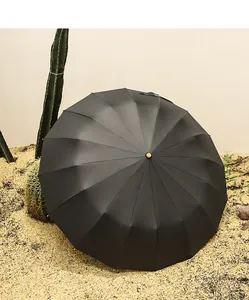 Vue détaillée d'un parapluie noir à 16 baleines dans un décor de désert cactus.