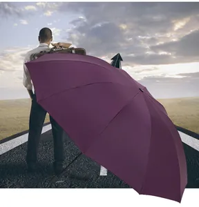 Large purple folding umbrella for sun and rain protection in a scenic travel setting