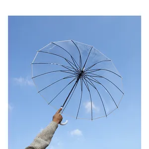 Vollansicht eines transparenten 16-Speichen-Automatikschirms vor einem strahlend blauen Himmel