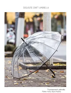 Transparenter 16-Speichen-Langgriffschirm mit windfestem schwarzem Rahmen auf der Straße