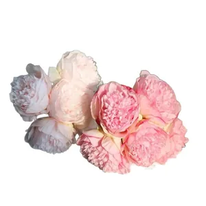 Realistic five-head artificial peony bouquet in pink and light pink for home decoration