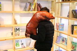 Life-size realistic roasted pig trotter plush pillow being carried by a person in a library