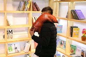 Detail shot of a realistic pig trotter plush cushion being held by a man in a library