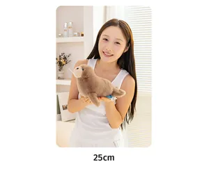 Realistic 25cm brown walrus plush doll held by a young woman in a cozy home setting