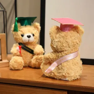 Mooie afgestudeerde teddyberen met doctoraatshoeden en felicitatie-sjerpen