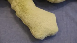 Gros plan haute définition montrant la texture douce de la fourrure d'une peluche