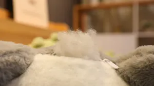 Gros plan sur le rembourrage en coton PP blanc et la fermeture éclair du coussin peluche.