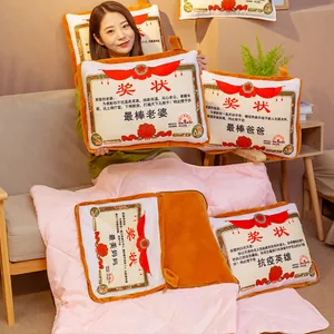 Award Certificate Pillow Blanket Two-In-One Creative Gift Soft Polyester Plush Throw Pillow With Quilt For Office Sofa Mothers Day Gift