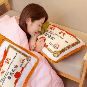 Creative certificate design 2-in-1 pillow blanket for home and office gift use