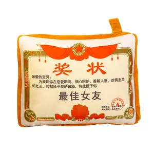 Award certificate themed dual-purpose plush pillow blanket for best girlfriend creative gift
