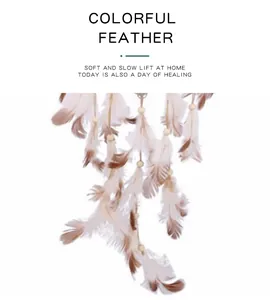 Macro detail of white and brown feathers on a bohemian dreamcatcher wall hanging