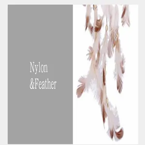 Close-up detail of white and brown feathers on a nylon dreamcatcher hanging decoration.