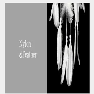 Nahaufnahme von weißen Federn und Perlen an einem Nylon-Traumfänger-Wandbehang