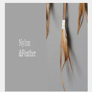 Vue macro détaillée d'un attrape-rêve avec plumes brunes et cordes en nylon.