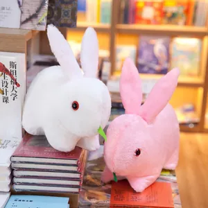 Close-up of soft white and pink plush rabbit toys displayed in a warm library setting